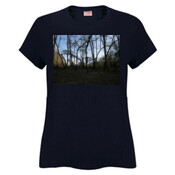 Waving Trees 